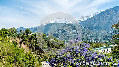 Dharamshala of Himachal Pradesh surrounded by cedar forests and Dhauladhar mountain range Stock Photo