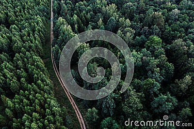 Aerial view of the dirt road passing through the fores Stock Photo