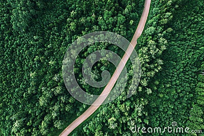 Aerial view of the dirt road passing through the forest Stock Photo