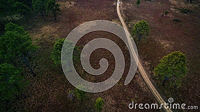 Aerial view of dirt track in pind forest in northern of thailand Stock Photo