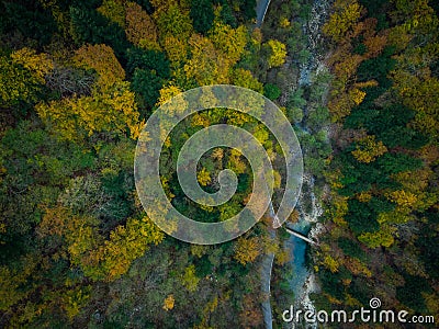 Aerial view of Divje JEzero or Wild Lake in Slovenia thick forest Stock Photo