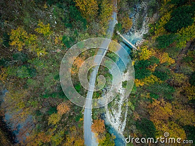 Aerial view of Divje JEzero or Wild Lake in Slovenia thick forest Stock Photo
