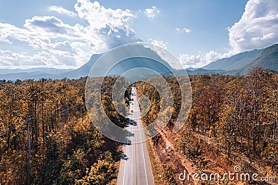 Aerial view of Doi Luang Chiang Dao mountain with straight road among autumn forest on bright day at Chiang Dao Stock Photo