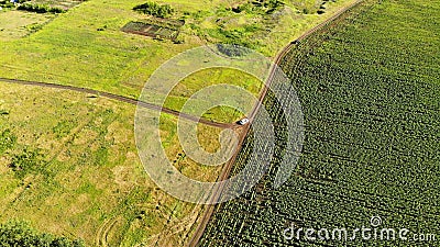 Aerial. View from drone of moving little white car on a rural, country road. Stock Photo