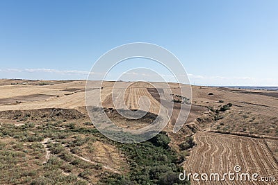 Aerial view with drone summer landscape of field with dry grass with vehicle marking, trees and road. Rural life, free, healthy Stock Photo