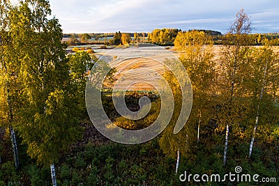 An aerial view of a early autumn morning with colorful Birch trees and a straw field Stock Photo