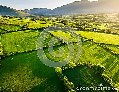 Aerial view of endless lush pastures and farmlands of Ireland. Beautiful Irish countryside with green fields and meadows. Rural Stock Photo