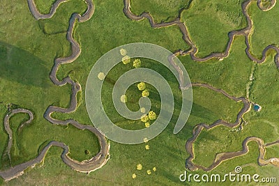 Aerial view of extraordinary meadow with many paths Stock Photo