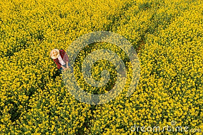 Aerial view of farmer examining blooming rapeseed field Stock Photo