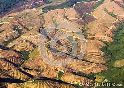 Aerial view of farmlands Stock Photo