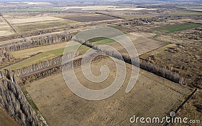 Aerial view of field and trees in autumn Stock Photo