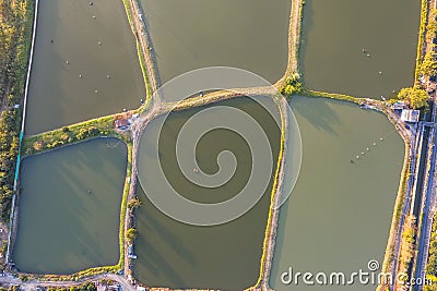 Aerial view fish ponds in Hong Kong border Stock Photo