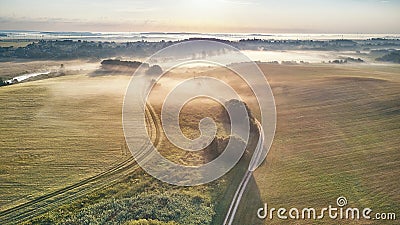 Aerial view of foggy rural countryside with lush green fields and winding dirt road Stock Photo