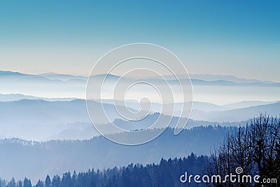 Aerial view of forest covered hills and valleys on a hazy morning Stock Photo