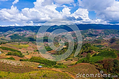 Aerial view of forest destroyed by agriculture of shifting cultivation. Stock Photo