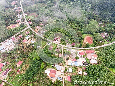 Aerial view in the forest Stock Photo