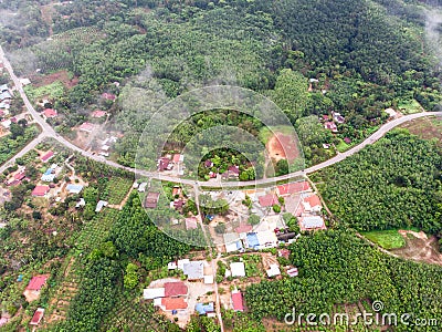 Aerial view in the forest Stock Photo