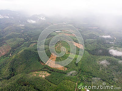 Aerial view in the forest Stock Photo