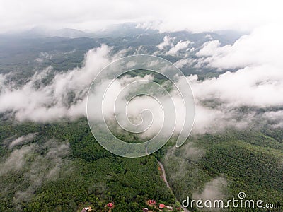 Aerial view in the forest Stock Photo