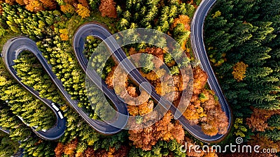 Aerial view of forest road in beautiful autumn at sunset. Serpentine asphalt road details with colourful landscape, yellow trees Stock Photo
