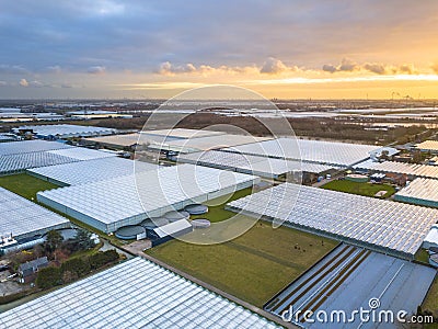Aerial view of giant Greenhouse horticulture area Stock Photo