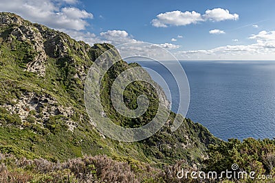 Aerial view of a glimpse of the island of Gorgona, Italy, on a sunny day Stock Photo