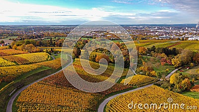 Aerial view of the golden fields of Bradgate Park in the Uk in autumn Stock Photo