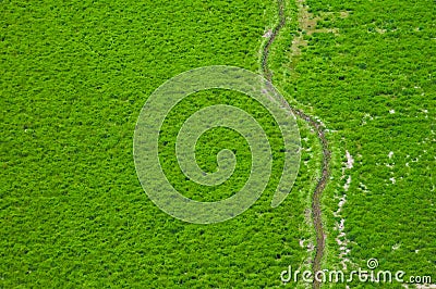 Aerial view of green fields Stock Photo