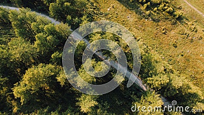 Aerial view of green fields and coniferous forest. Stock Photo