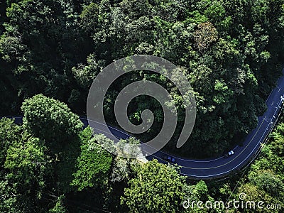 Aerial view green forest and asphalt road, Top view forest road going through forest with car adventure Stock Photo