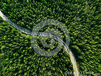 Aerial view of green forest road. Curved road from above Stock Photo