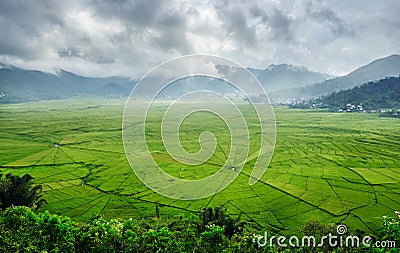 Aerial View of Green Lingko Spider Web Rice Fields with Sunlight Piercing Through Clouds to the Field with Raining. Flores, East N Stock Photo