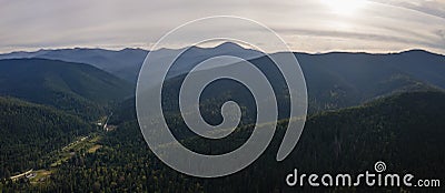 Aerial view of green pine forest with dark spruce trees covering mountain hills at sunset. Nothern woodland scenery from Stock Photo