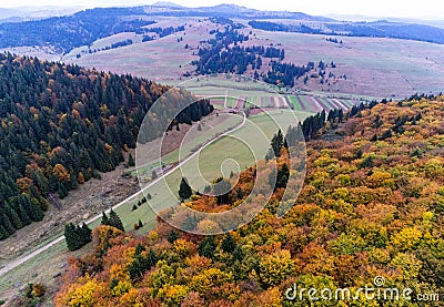 Aerial view, green pine trees , deciduous woods , dirt road in the valley Stock Photo