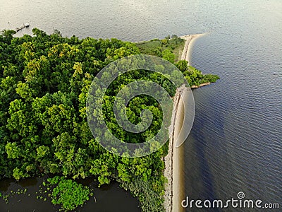 The aerial view of the green trees and white beach near Rock Point, Maryland, U.S Stock Photo