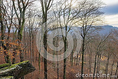 Aerial view from Hill with autumn woodscape in German Sauerland Stock Photo