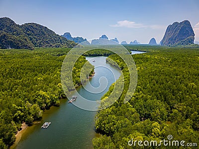 Aerial view of a huge mangrove forest and towering limestone pinnacles (Phangnga Bay, Thailand Stock Photo