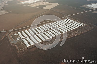 Aerial view of an industrial poultry farm, a lot of modern poultry rearing buildings Stock Photo