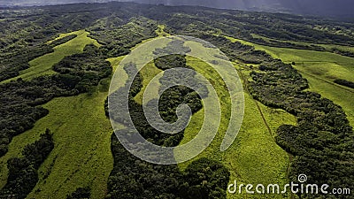 Aerial view of interior Kaui, Hawaii, USA near Lihue showing lush green meadows, tropical forests Stock Photo