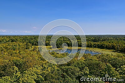 The forest of Itasca State Park in Minnesota Stock Photo