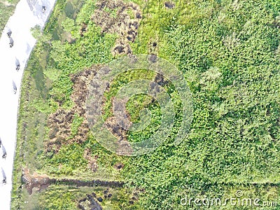 aerial view of land mapping by unmaned aerial vehicle in Bogor, Indonesia Stock Photo