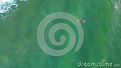 Aerial view lonely surfer swimming on surfboard waiting perfect ocean wave. Stock Photo