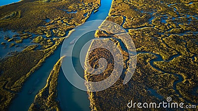 Aerial view of the lush wetlands of the South Carolina coast Stock Photo