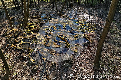 Aerial view of mineral spring water reservoirs on travertine stones hidden in forest, late afternoon sunshine. Stock Photo