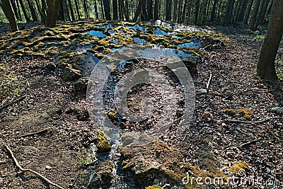 Aerial view of mineral spring water reservoirs on travertine stones hidden in forest, late afternoon sunshine. Stock Photo