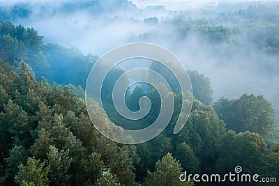 Aerial view of a misty woodland Stock Photo
