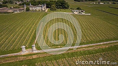 Aerial view Montagne Saint-Emilion, Aquitaine, Bordeaux Wineyard Stock Photo