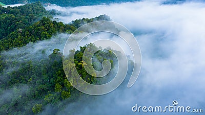 Aerial view of morning mist at tropical rainforest mountain, background of forest and mist, Aerial top view background forest Stock Photo