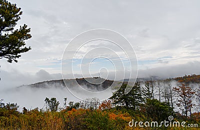 Aerial view of mountain forests engulfed in clouds during the autumn season Stock Photo