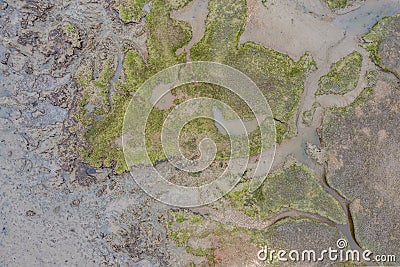 Aerial view of mudflats at low tide Stock Photo